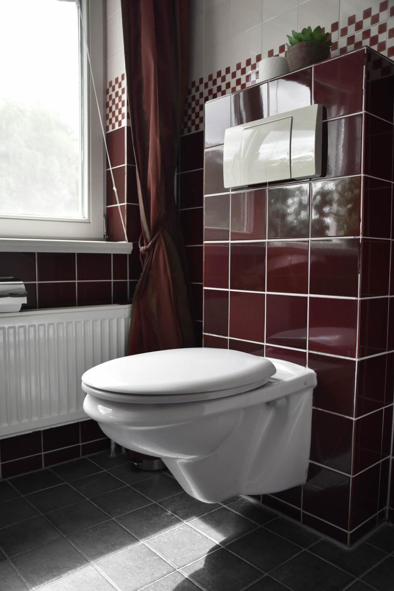 The Cosy Cottage For Comfort With Sauna And Hottub Zeewolde Exteriér fotografie
